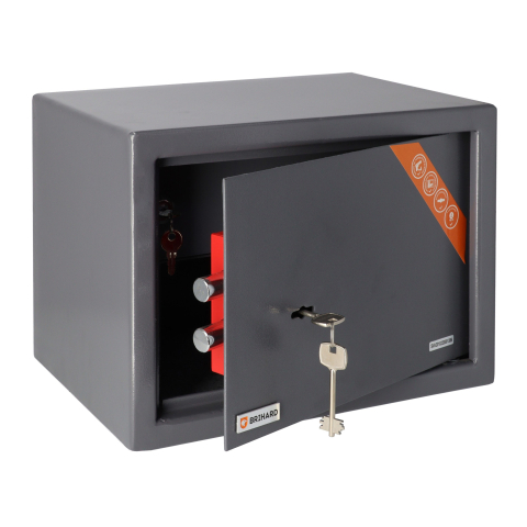 BRIHARD PISTOL & AMMO K